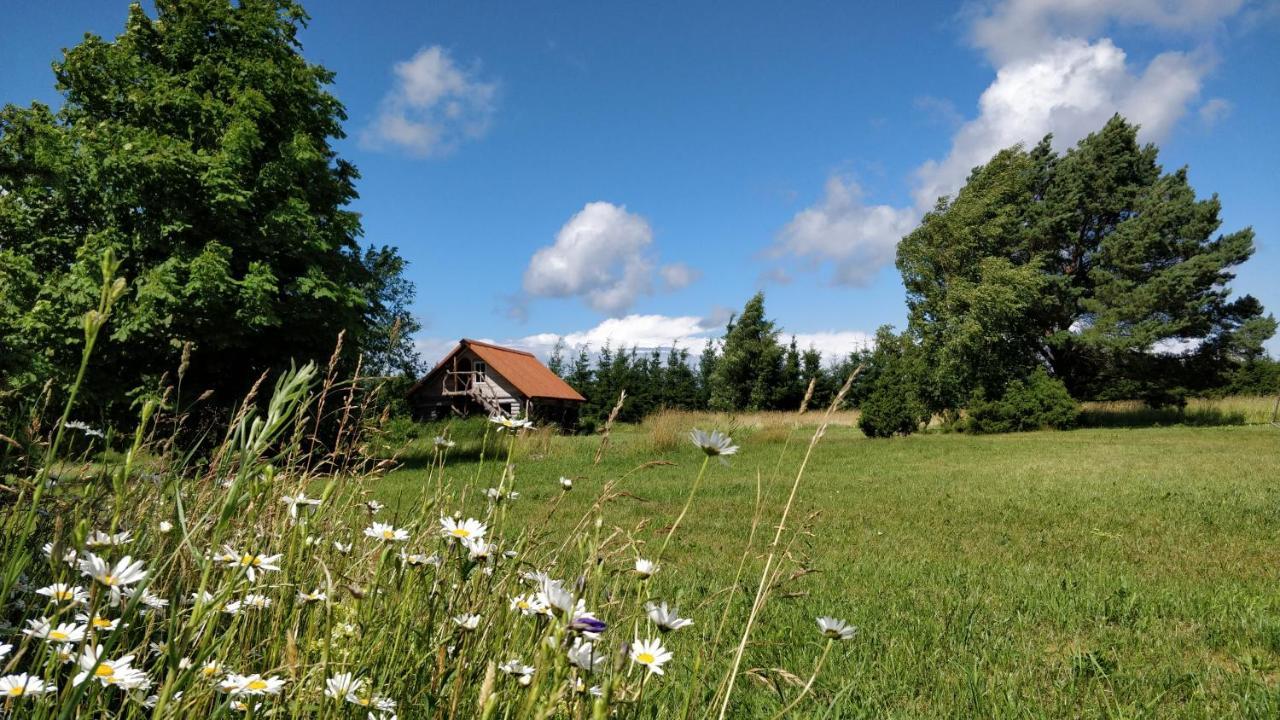 Suurekivi Kuelalistemaja Hotel Reigi Luaran gambar